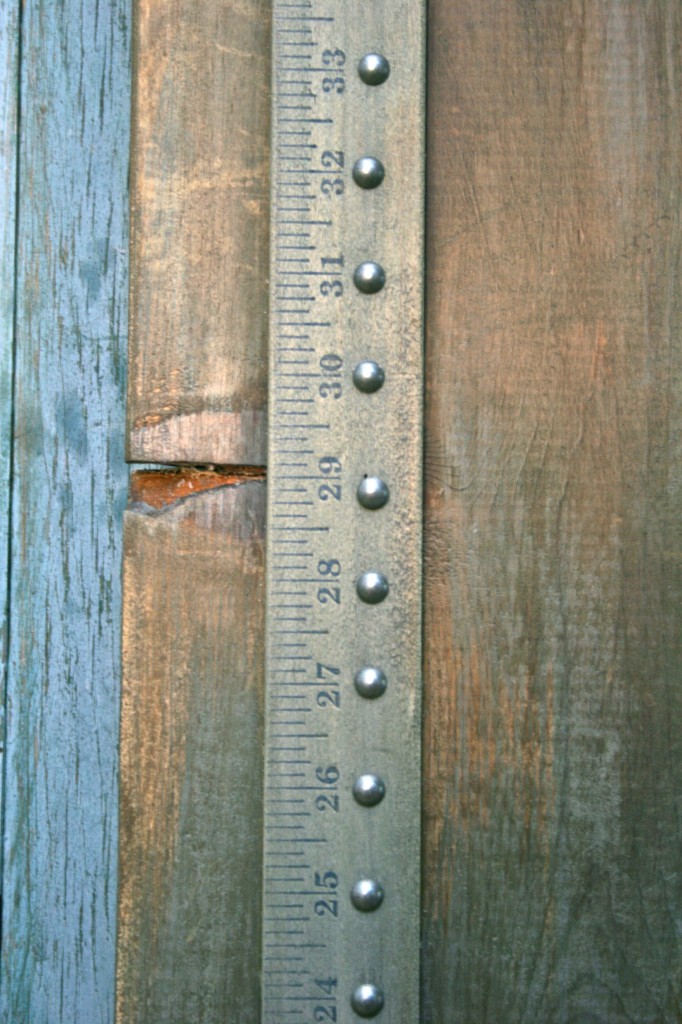 Restoration Hardware inspired height & wood growth chart (3)