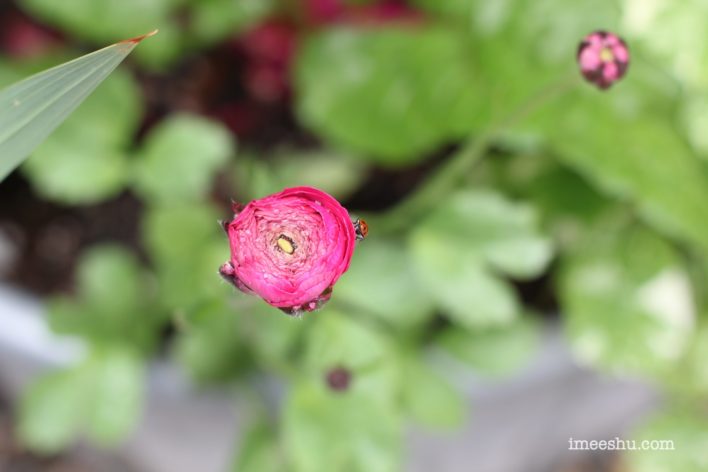 What's on this side?